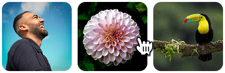 Click Any Image Online Click Any Image Online